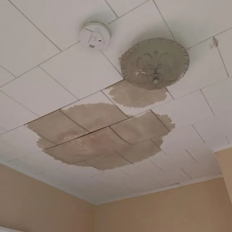 Ceiling Water Damage Repair in Stapleton, NY