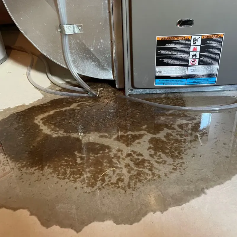 Pipe Burst and Leak Restoration in Stapleton, NY