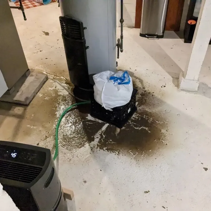 Sewage Backup Cleanup Service in Stapleton, NY